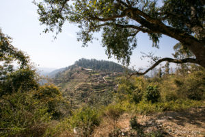 Terraced Hills, Dhulikhel to Nagarkot, Nepal