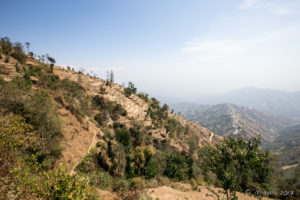 Terraced Hills, Dhulikhel to Nagarkot, Nepal