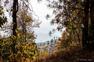 Terraced Hills, Dhulikhel to Nagarkot, Nepal
