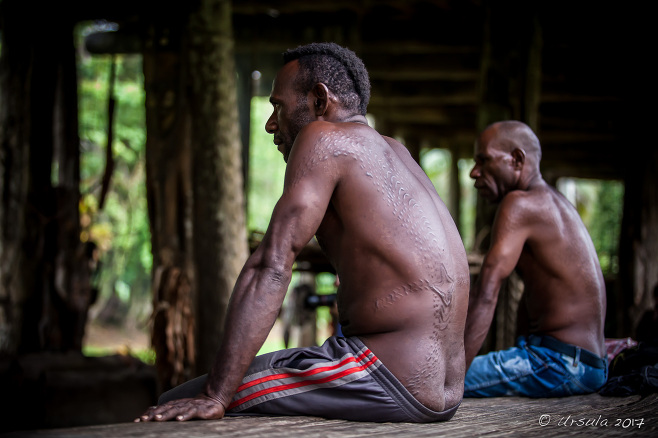 Two seated crocodile men with scarification running down their backs sitting in the Kanganaman spirit house, PNG