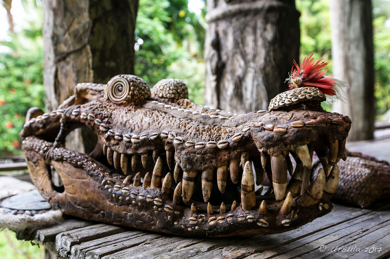 Who Are The Crocodile Men of Papua New Guinea?, Wild Frontiers