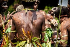 Scarred back of a crocodile man in a leaf skirt, Kanganaman Village, PNG