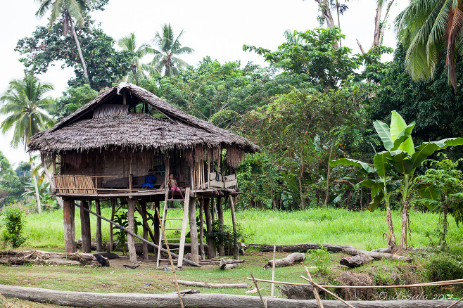 Kanganaman Village House, Sepik River, Papua New Guinea