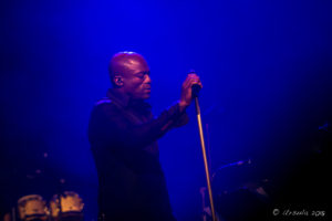 Seal on stage at Bluesfest Byron Bay AU