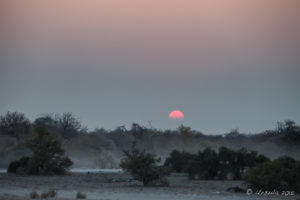 Sunset over Etosha National Park, Namibia Africa