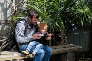 Man and child feeding a Kingfisher, Asia-Pacific walk-in aviary, On the Perch Bird Park Tathra