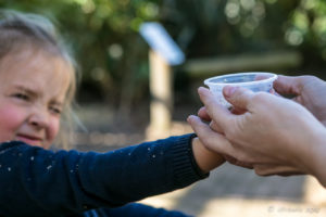 Young girl holding bird feed, Asia-Pacific walk-in aviary, On the Perch Bird Park Tathra