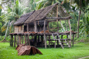 Woven House under construction, Kaningara, Middle Sepik, PNG