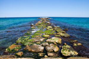 Mossy, rocky pier, Villajoyosa, Spain