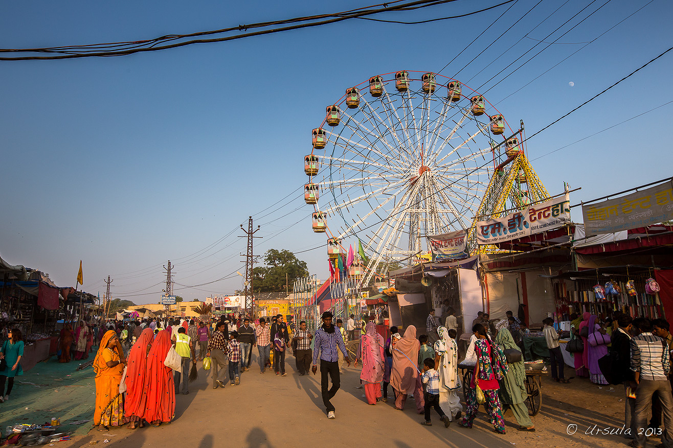 Among the Camels and Horses: Pushkar Fair, India » Ursula's Weekly Wanders