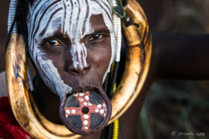 Closeup of a Mursi woman in Face Paint, cow horns and a large Lip Plate, Mago National Park, Ethiopia