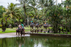 Elephant Riders in the Elephant Safari Park Lodge Bali