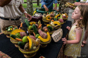 Baskets of fruit and vegetables for Elephant Food, Elephant Safari Park Lodge Bali