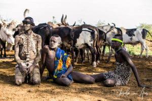 Tableau of three Mursi men in front of their cattle, Ethiopia