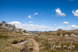 Informal path, Mt Kosciuszko walkway, Australia