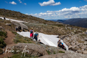 Summer snow, Mt Kosciuszko walkway, Australia