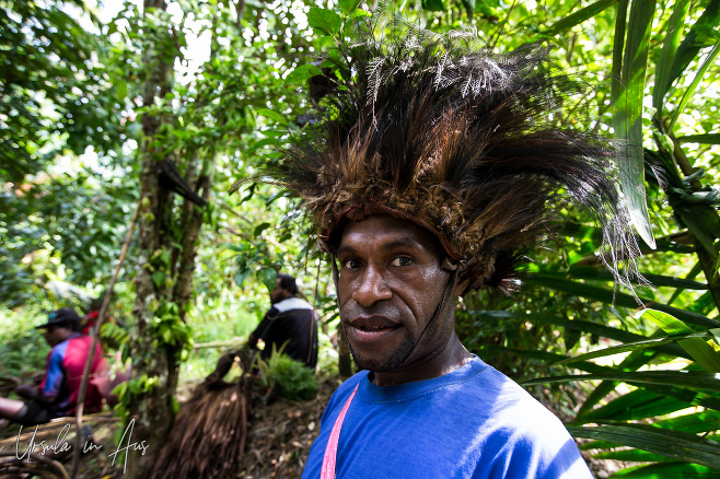 Korogu Dancer in Feathers, Kanganaman Village, PNG