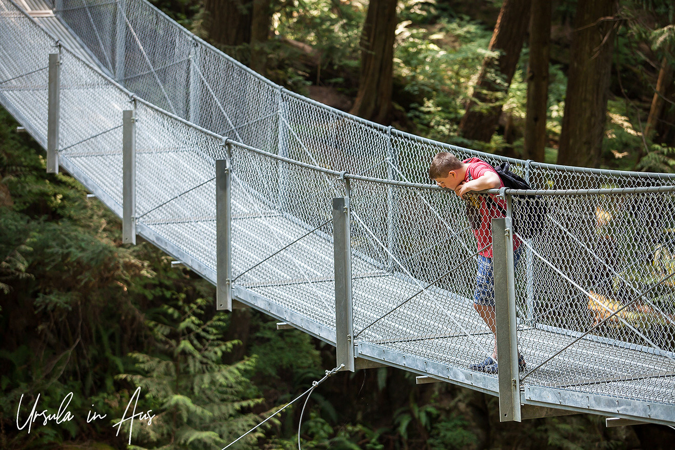 Woods and Waterfalls: Maple Ridge-Mission, BC Canada » Ursula's Weekly ...