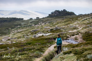 A National Parks guide on the Ramshead, Dead Horse Gap track, Kosciuszko National Park, Australia