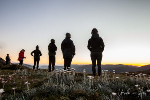 People silhouetted at sunrise, Thredbo, NSW Australia