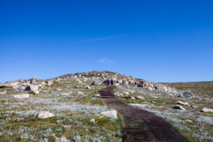 Mount Kosciuszko Walkway, Thredbo Australia