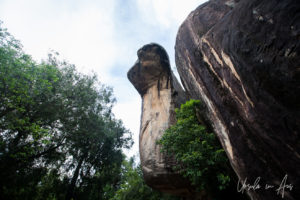 Cobra Hood Rock, Sigiriya Sri Lanka