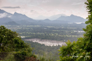 Rice Field of the Central Province, Sri Lanka, from Sigiriya