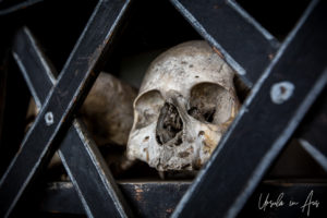 Skull on a shelf, ossuary, Oratorio Sant'Anna, Poschiavo Switzerland