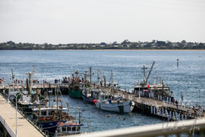 Fishing boats from the San Remo Bridge, Victoria Australia
