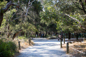Walking track, Koala Conservation Centre, Phillip Island Victoria Australia