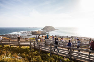 Boardwalk and waves, The Nobbies, Phillip Island Australia