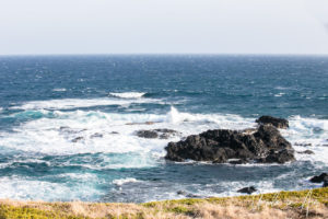 White waves at the Nobbies, Phillip Island Australia