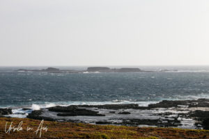 White waves at the Nobbies, Phillip Island Australia