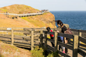 People on the boardwalk at the Nobbies, Phillip Island Australia