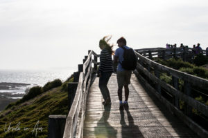 A couple silhouetted by sun, The Nobbies, Phillip Island Australia