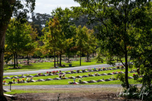The Cowra General Cemetery, NSW Australia