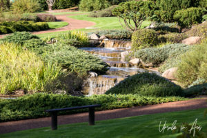 Waterfalls, Japanese Gardens, Cowra NSW