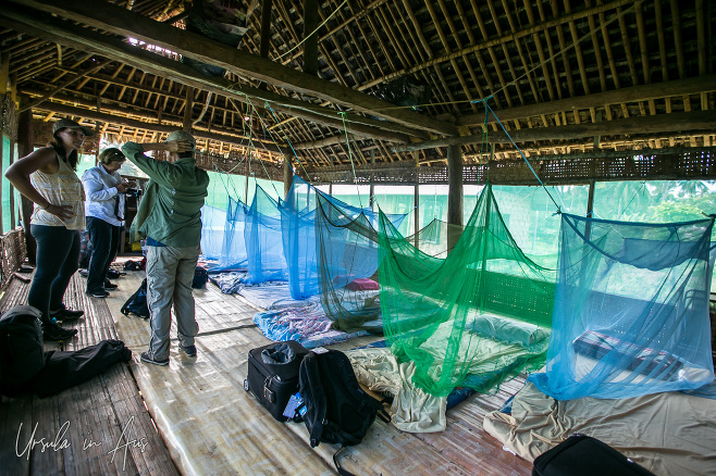 Mattresses under mosquito nets, Kanganaman, Middle Sepik PNG