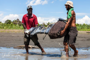 Two Papuan me carrying an outboard motor, Sepik River PNG