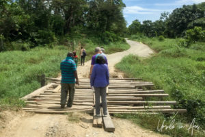 Wooden planks over a gap in a dirt road, Papua New Guinea