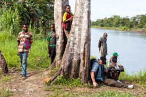 People in and around a large gum tree, Sepik River PNG