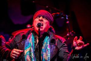 Portrait: Little Steven singing, Bluesfest Byron Bay Australia