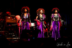 Backup Singers for Little Steven Bluesfest Byron Bay Australia