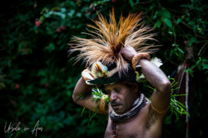 Huli warrior putting on his wig, Paiya Village Papua New Guinea