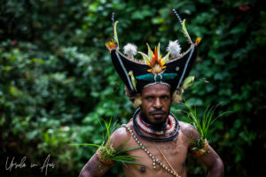 Huli man in ceremonial winged wig, Paiya Village Papua New Guinea