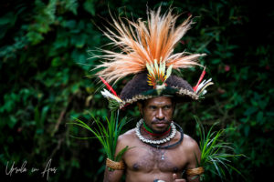 Huli man in a decorated wig, Paiya Village Papua New Guinea