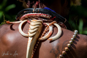 Hornbill beak and pig tusks on the back of a Huli man, Paiya Village Papua New Guinea