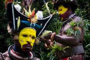 Huli wigmen preparing their headdresses, Paiya Village Papua New Guinea