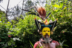 Huli Wigman in full paint and headdress, Paiya Village Papua New Guinea