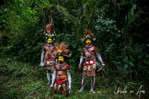 Three Huli Wigmen in full paint and headdress, Paiya Village Papua New Guinea